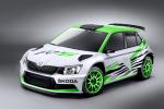 Skoda Fabia R5 Concept 2014 года